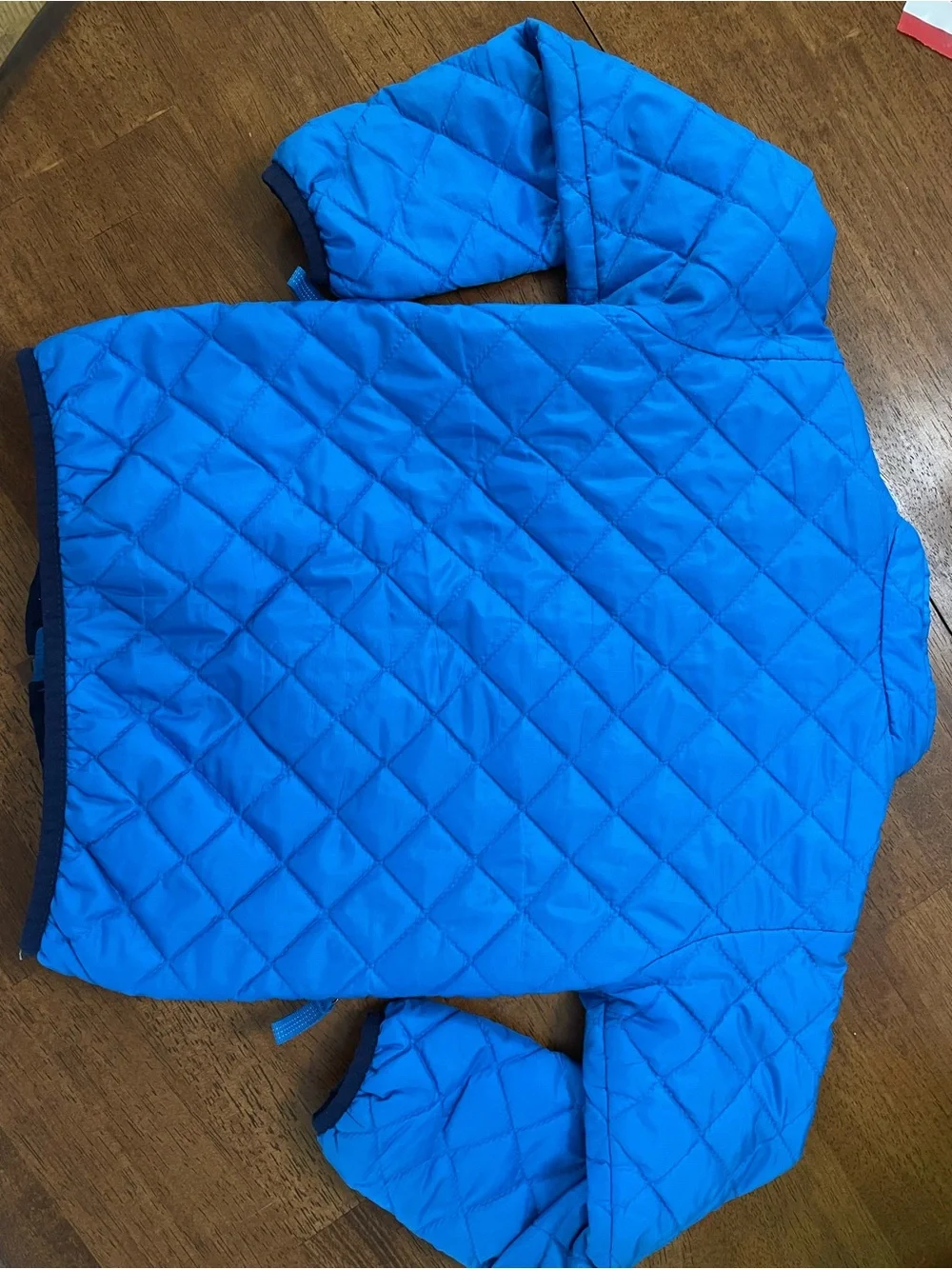 Patagonia lightweight quilted